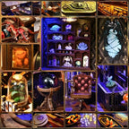 Book Nook – Chambre des Bêtes Exotiques — vue 8