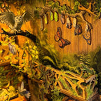 Book Nook – L'Histoire des Insectes — vue 9